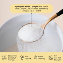 Load image into Gallery viewer, Lys Premium Marine Collagen | Wild CodFish Collagen Pure 100% - Bếp Ông Bụi